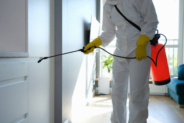 Best Commercial Mold Removal  in Summit Park, UT