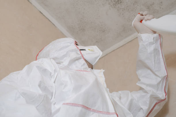 Best Mold Testing  in Summit Park, UT