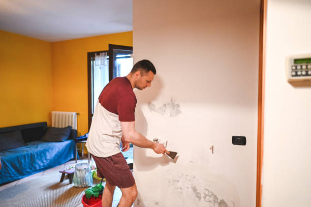 Best Emergency Mold Removal  in Summit Park, UT