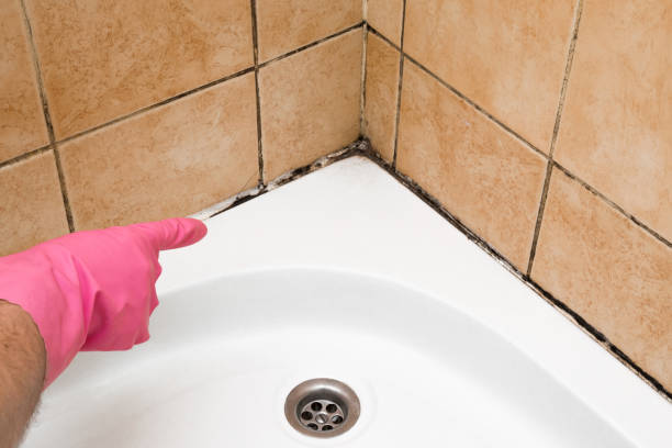 Best Office Mold Removal Services  in Summit Park, UT